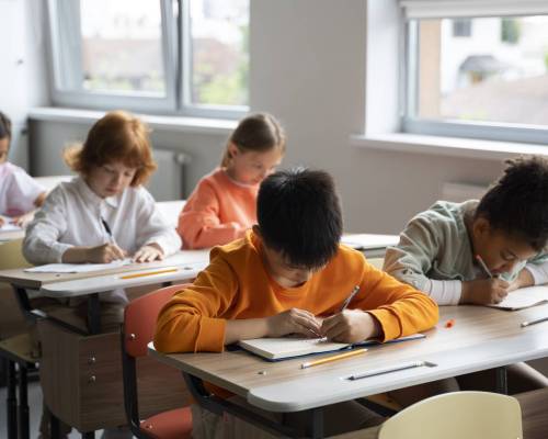students-learning-school-their-classroom
